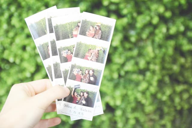 Gallery image 162