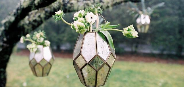 Gallery image 232